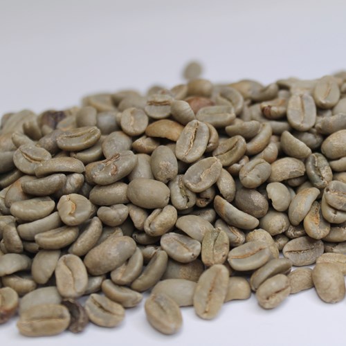 Papua New Guinea Organic Korofeigu AX